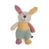 Lapin multicolore