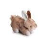 Lapin Tout Doux